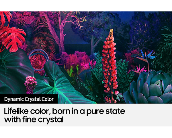 SAMSUNG 55" Crystal UHD BU8500 - Image 18